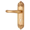 "Jehoiakim" Brass Door Handle with Plate 